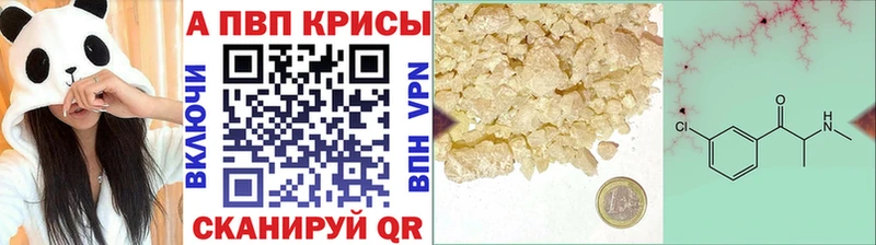 blacksprut ссылки  Почеп  Alpha-PVP крисы CK 