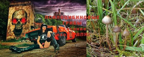 хмурый Надым