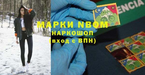 хмурый Надым