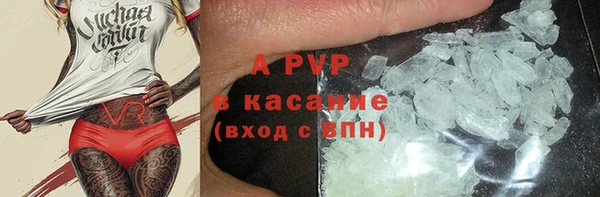 стафф Михайлов