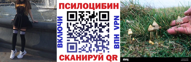 Псилоцибиновые грибы ЛСД  даркнет сайт  Почеп 
